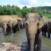 Worlds Best Set Sights on Sri Lanka