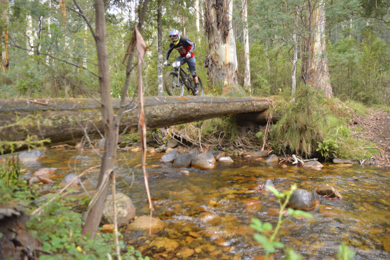 Riding at the Bike Buller Festival