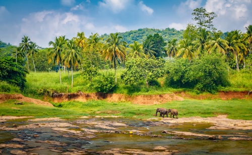 Landscape of Sri Lanka. Photo AR World Series
