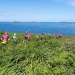 The Swimrun World Series Returns to the Isles of Scilly this weekend