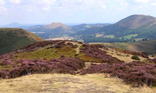 The Long Mynd