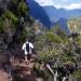 The ARWC Guide to Reunion Island