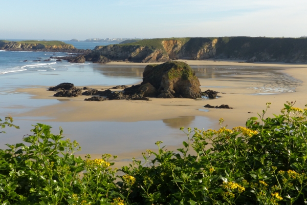 Coastal beaches and cliffs will feature on the course