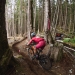 Ideal Conditions for Stage 4 at Powell River