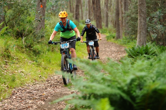 Riding the Bike Buller Trails