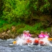 Adventure Women Enjoy The Freedom to Race At the Spring Challenge South Island