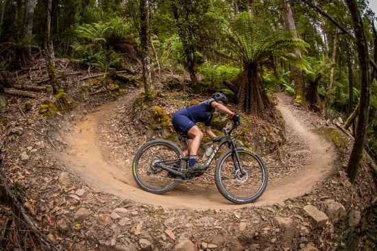 Riding the Dragon Trail in Tasmania