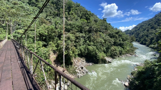 The Amazon jungle of Ecuador - setting for the 19th Huairasinchi