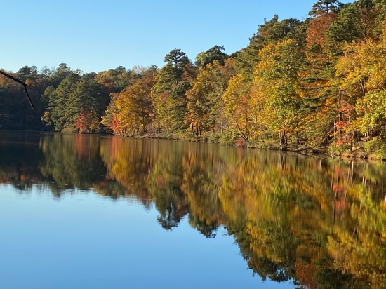 Some of the great scenery racers will experience at the Palmetto Possum