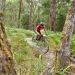Otway Odyssey MTB Entries Open - Where Legends are Forged