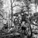 A Taste of History at the 2026 Endless Mountains Adventure Race