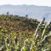 Absa Cape Epic Launches New Route to Showcase The Wonders of the Cape 