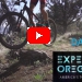 Expedition Oregon 2021 - Day 2