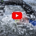One Water Race Trailer