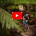 Riding The Dragon Trail MTB Stage Race in Tasmania